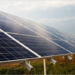 Torija contará con cuatro nuevas plantas fotovoltaicas Alberizas que producirán 32,34 GWh al año de energía