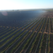 Puesta en servicio del complejo San Serván 220, con tres plantas fotovoltaicas que suman 138 MW