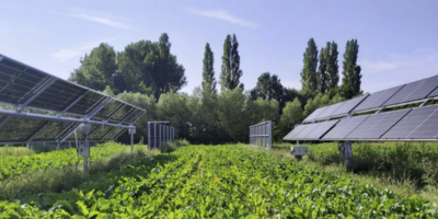 paneles solares en tierras agrícolas