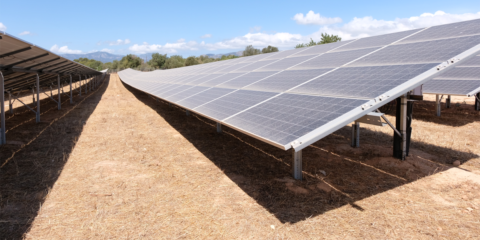 Abiertos a participación local los parques fotovoltaicos Son Sunyer y Les Andrevas en la isla de Mallorca