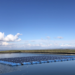 La UJA participa en un estudio sobre los sistemas fotovoltaicos flotantes en balsas de riego
