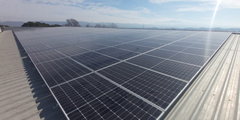 Pascual pone en servicio 3.000 paneles fotovoltaicos sobre la cubierta de una fábrica de Barcelona