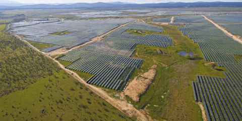 Un consorcio empresarial se adjudica la construcción de 800 MW fotovoltaicos en tres provincias