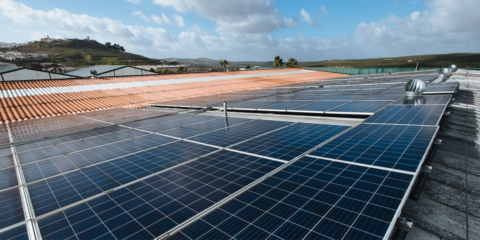 Las ayudas para el autoconsumo fotovoltaico, las más demandadas en el programa ‘Andalucía es más’