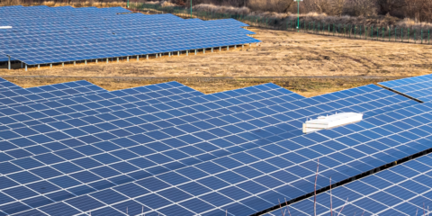 El Gobierno de Canarias aprueba 146,7 MW renovables en las convocatorias Eolcan 2 y Solcan 1