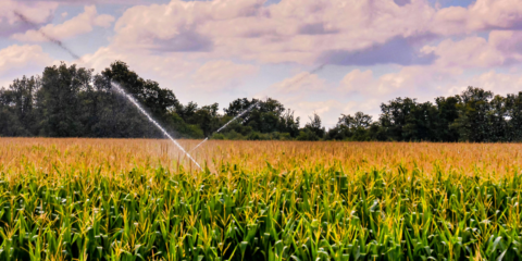Autorización del gasto para instalar una planta solar en la Comunidad de Regantes del Garrigues Sud