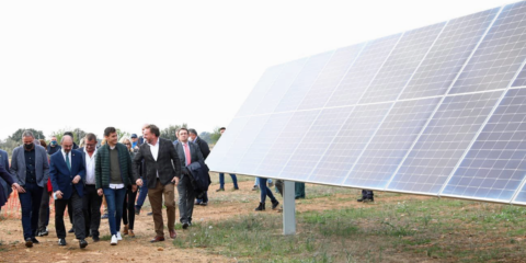 La Comunidad de Regantes Lasesa de Huesca promueve un parque fotovoltaico en Sariñena