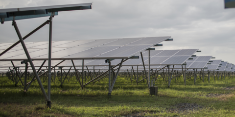 Nueva joint venture para el desarrollo de proyectos fotovoltaicos en España