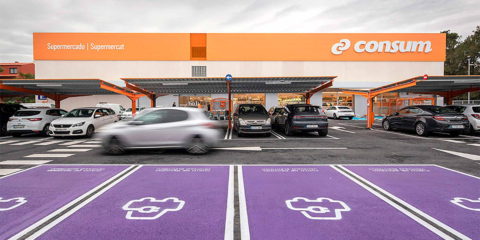 Consum comprará energía 100% renovable durante diez años para la mitad de su demanda eléctrica