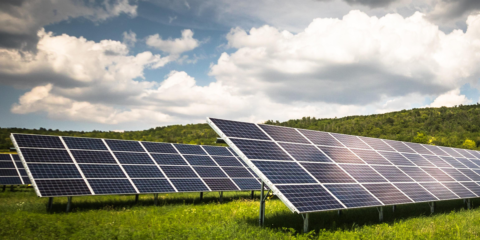 El BOP de Alicante publica el inicio del proceso de información pública de la planta solar Santa Anna I