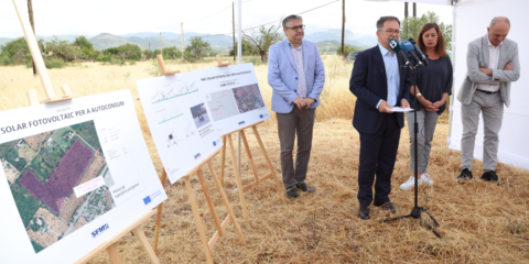 Un parque fotovoltaico suministrará energía renovable a los trenes del servicio ferroviario de Mallorca