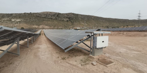 Finaliza la construcción de Salinetes I, la primera planta solar fotovoltaica instalada en Novelda