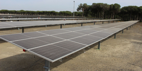 La comunidad de regantes El Fresno construirá en Montemayor dos nuevas plantas fotovoltaicas