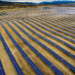 El parque solar Ekian empieza a comercializar la energía a los vecinos de Ribera Baja/Erriberabeitia