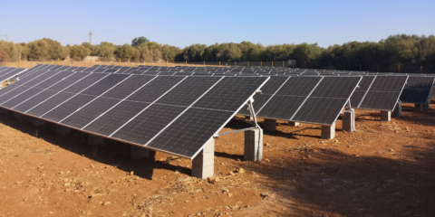 El IBE finaliza las obras de la instalación de autoconsumo compartido en el CEIP Ses Salines