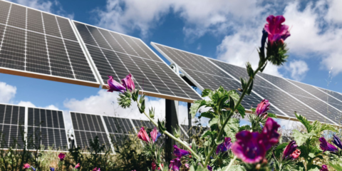 El clúster fotovoltaico Carmonita Norte de 123 MW en Extremadura alcanza el cierre financiero