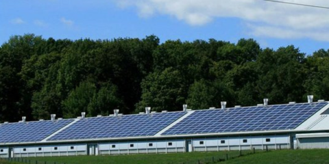 Ivace destina 3,6 millones de euros para 70 proyectos de autoconsumo en comunidades energéticas