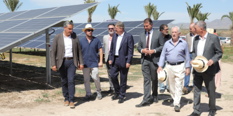 Comienza a funcionar Villa de Catral, un huerto solar cuya energía será consumida por los propios vecinos