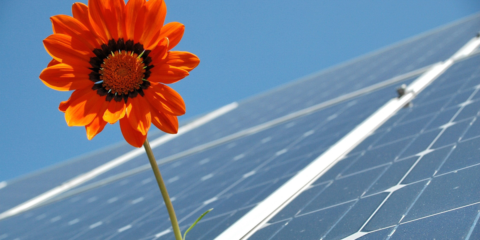 El DOE destina 14 millones de dólares para mejorar la interacción entre ecosistemas y energía solar