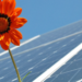 El DOE destina 14 millones de dólares para mejorar la interacción entre ecosistemas y energía solar