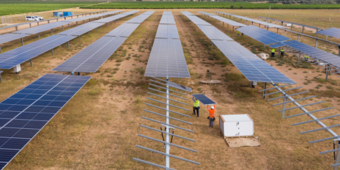 Finalizan las obras de cinco plantas fotovoltaicas en Albacete con una potencia total instalada de 250 MW