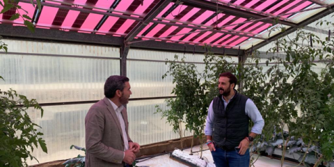 Proyecto de gestión basado en placas fotovoltaicas en invernaderos, en cultivos de tomate y brócoli