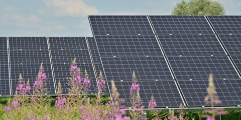 Luz verde a dos plantas fotovoltaicas en el término municipal de Utrera que sumarán 87 MW
