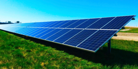 Desarrollan una celda solar que genera electricidad verde y permite la producción agrícola