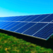 Desarrollan una celda solar que genera electricidad verde y permite la producción agrícola