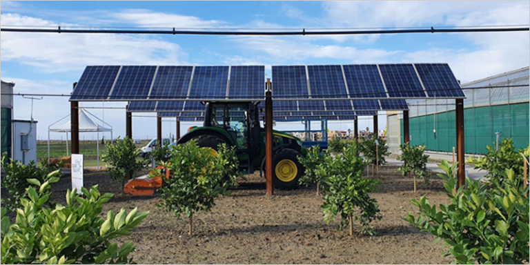 placas fotovoltaicas en entorno agrícola
