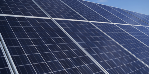 Una sociedad público-privada gestionará la planta de energía fotovoltaica de Mercabarna