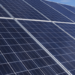 Una sociedad público-privada gestionará la planta de energía fotovoltaica de Mercabarna