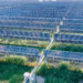 La construcción de 19 plantas solares fotovoltaicas en España obtiene la aprobación ambiental