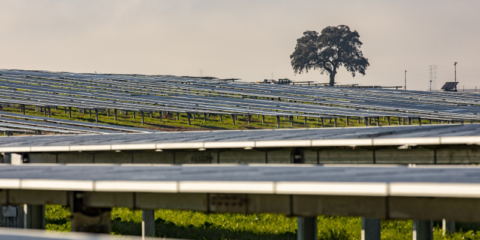 El proyecto LUZ construirá ocho plantas fotovoltaicas en el término municipal de Huelva