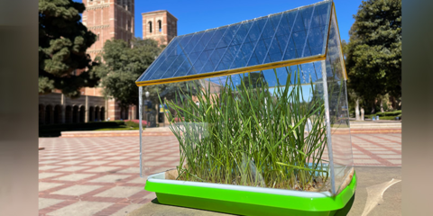 La UCLA diseña células solares orgánicas para recolectar energía en los invernaderos