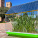La UCLA diseña células solares orgánicas para recolectar energía en los invernaderos