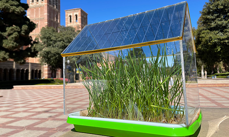 Invernadero con placas solares orgánicas.
