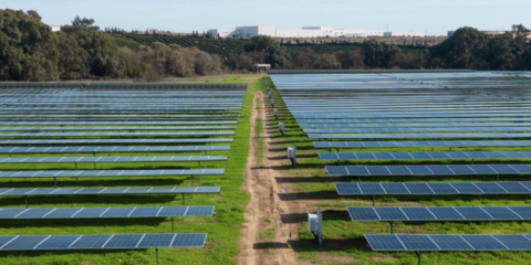 Puesta en marcha de la planta solar fotovoltaica de 50 MW en la localidad sevillana de Guillena