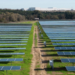 Puesta en marcha de la planta solar fotovoltaica de 50 MW en la localidad sevillana de Guillena