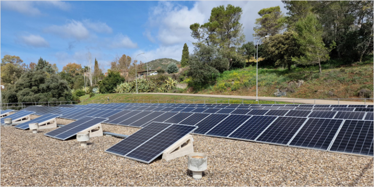 Placas solares instaladas y una zona de vegetación verde detrás.