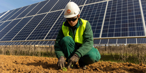 Un programa piloto renaturalizará varias plantas fotovoltaicas de Escatrón en Zaragoza