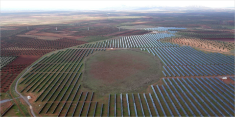 Recuperación de hábitats naturales con el fomento de la biodiversidad y la avifauna en el entorno de plantas solares