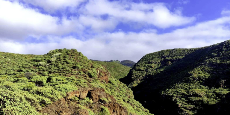 paisaje de la isla de La Palma