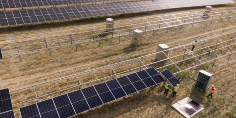 El futuro parque solar de 54,1 MWp en Alhendín contará con una innovadora instalación agrovoltaica