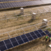 El futuro parque solar de 54,1 MWp en Alhendín contará con una innovadora instalación agrovoltaica