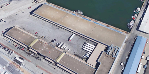 La Autoridad Portuaria de la Bahía de Cádiz saca a licitación una planta fotovoltaica para autoconsumo