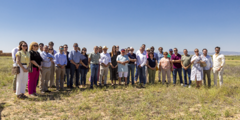Se inicia la construcción del proyecto ‘Quijote’ en Toledo con dos parques fotovoltaicos que sumarán 20,3 MWp
