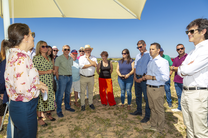 Se inicia la construcción del proyecto fotovoltaico ‘Quijote’ en Toledo con tecnología SENS