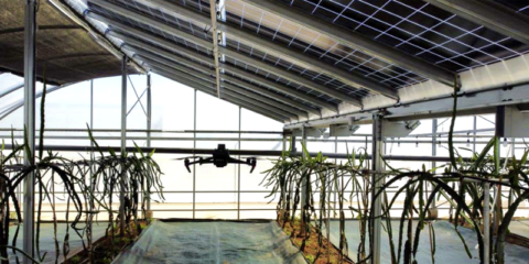 Smart Climate AGRI-PV, proyecto innovador para la investigación de sistemas agrovoltaicos a través de inteligencia artificial y drones