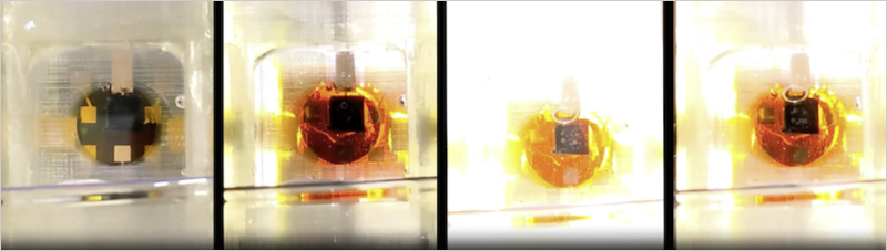 Serie de cuatro imágenes fijas de un video de muestra que muestra cómo un fotorreactor de la Universidad de Rice divide las moléculas de agua y genera hidrógeno cuando es estimulado por la luz solar simulada. (Imagen cortesía del laboratorio Mohite/Universidad Rice)